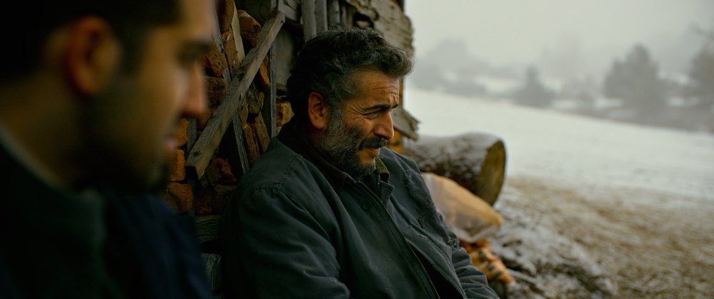 Η Άγρια Αχλαδιά