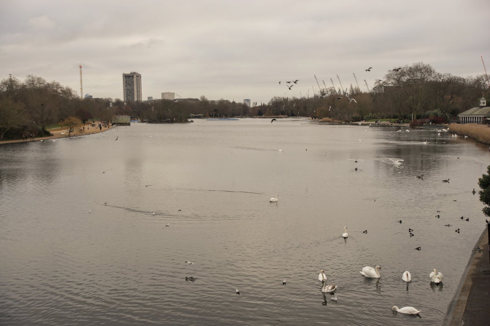 Tο Hyde Park ενδείκνυται για έναν όμορφο περίπατο ( Φωτογραφία Νίκος Πράσσος @paspartou.gr )