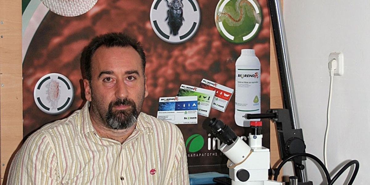 έντομα