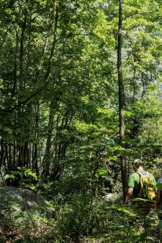 Φαράγγι Στροπώνων Φωτογραφία Νίκος Πράσσος