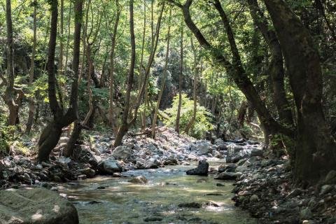 Φαράγγι Στροπώνων Φωτογραφία Νίκος Πράσσος